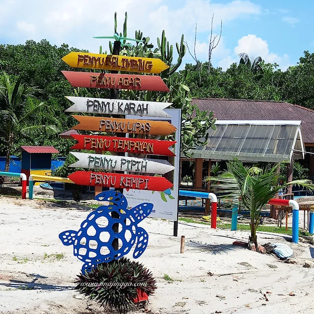 Pusat Konservasi Penyu Segari
